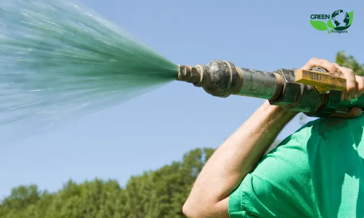 Hydroseeding ile Düşük Maliyet, Kaliteli Sonuç