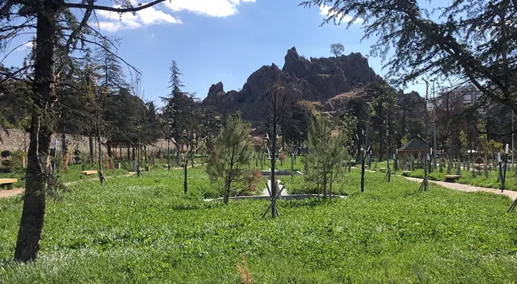 Afyon - Germination and Public Garden Project