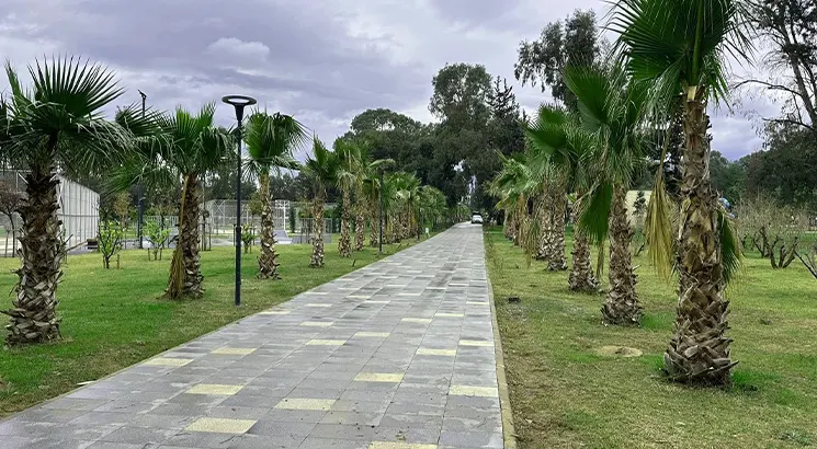 Dortyol - Park and Public Garden Project