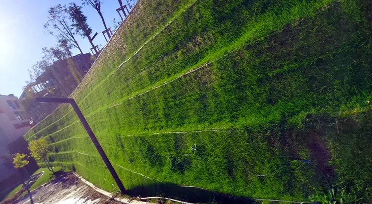 Hatay - Vertical Garden Project