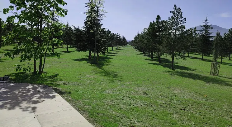 Recep Tayyip Erdogan  - Public Garden Project