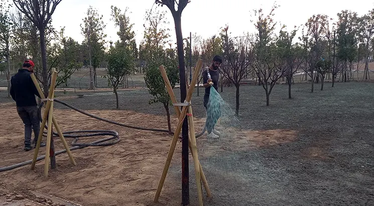 Bafra - Germination and Public Garden Project