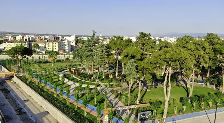 Ezine - Public Garden Project