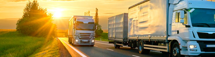 Faaliyet Bölgelerimiz